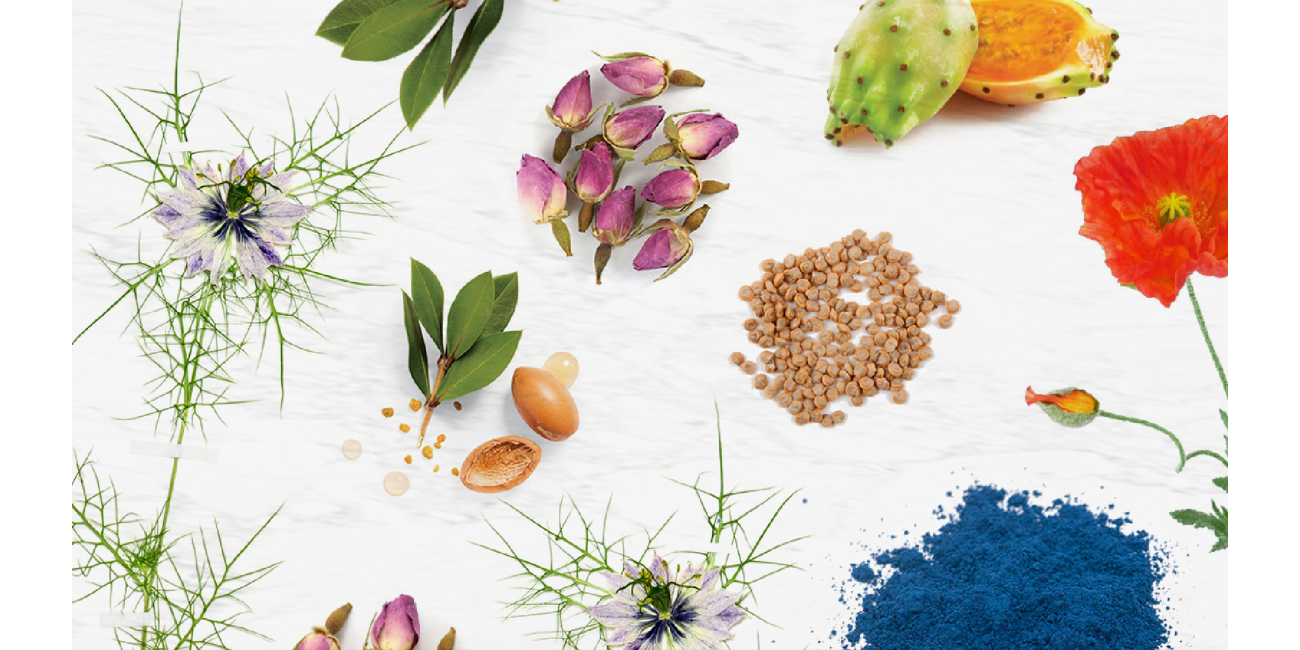 Moroccan Cosmetic Ingredients
